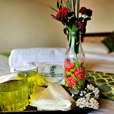 Coco Paradise Homestay Shrirangapattana Экстерьер фото