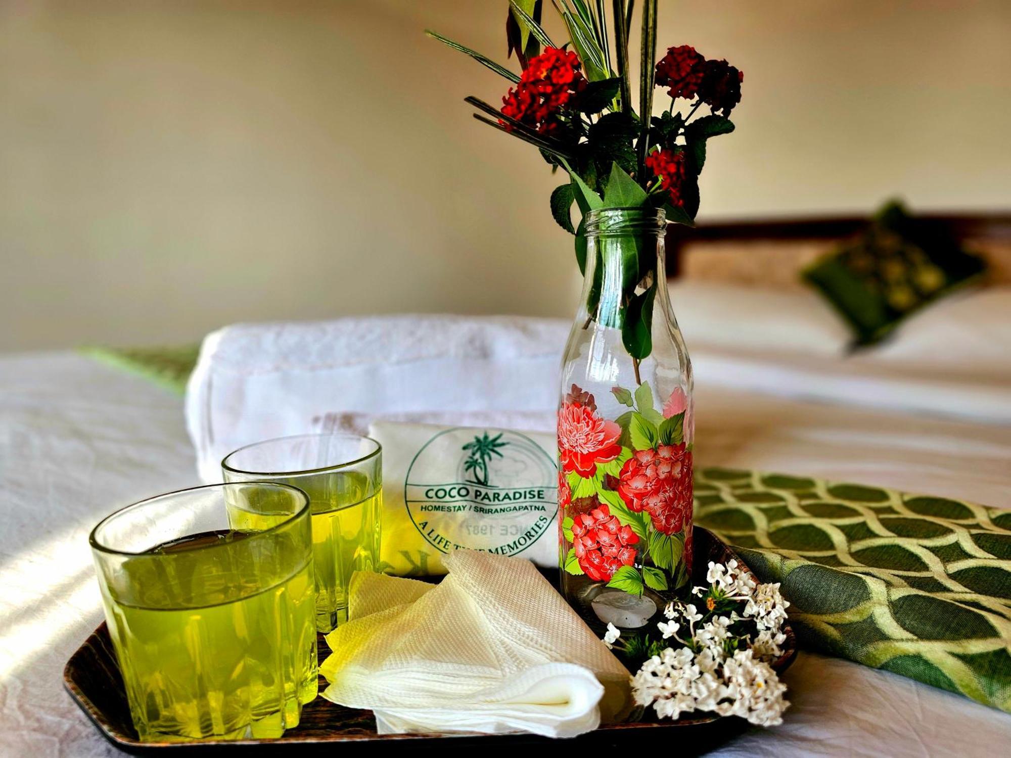 Coco Paradise Homestay Shrirangapattana Экстерьер фото